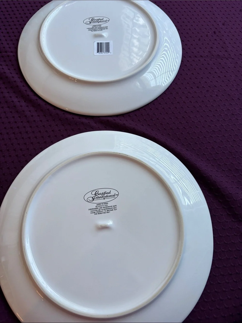Set of 2 new “Autumn Harvest” dinner plates